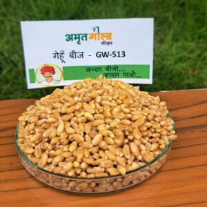 Amrat gold GW-513